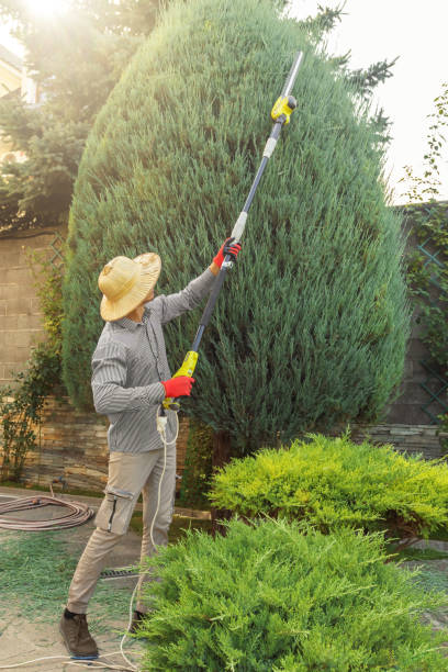 Best Lawn Maintenance Plans  in Greencastle, PA